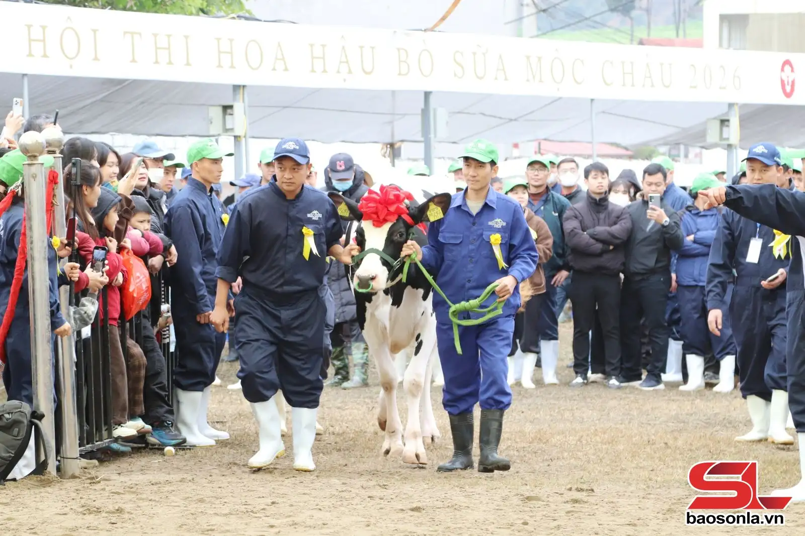 Phát triển nông nghiệp xanh gắn với du lịch sinh thái
