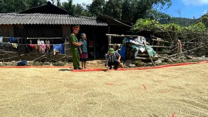 Phát triển sinh kế bền vững – ‘đòn bẩy’ giảm nghèo ở Trạm Tấu