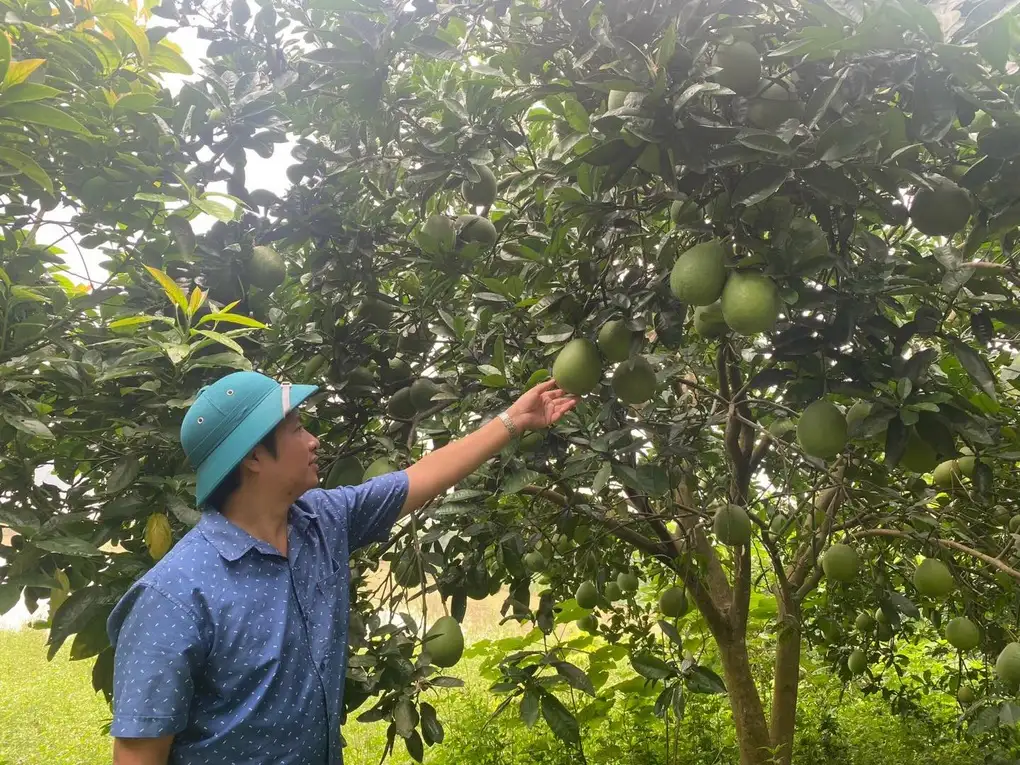 Phú Thọ: Xây dựng nông thôn mới gắn với bản sắc vùng