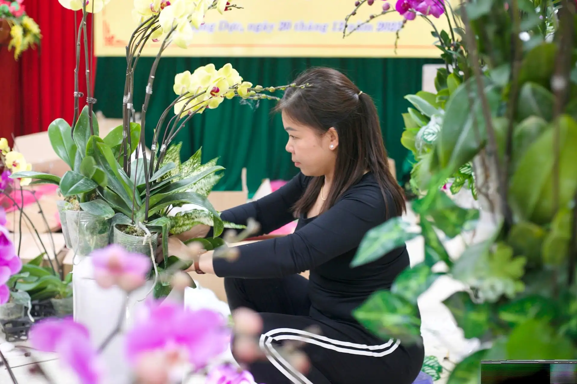 Phượng Dực triển lãm sản phẩm thủ công mỹ nghệ, OCOP gắn với sáng tạo và chuyển đổi số