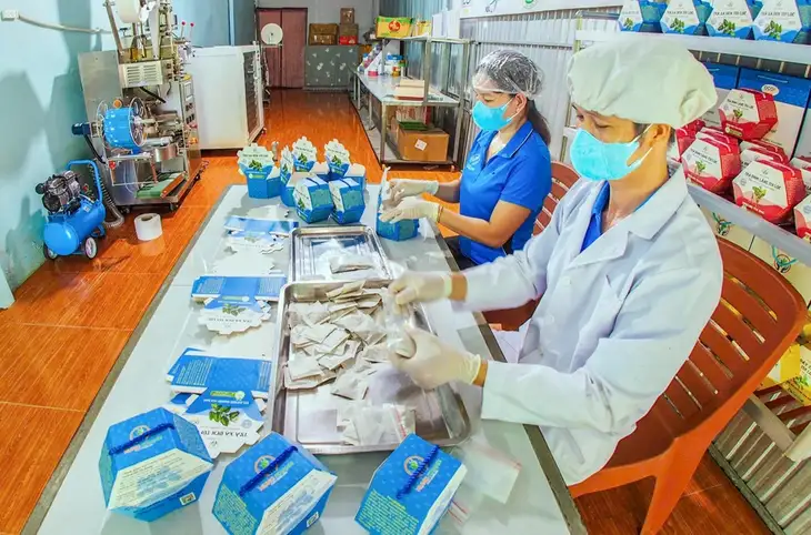 Quà Tết với sản phẩm OCOP “sức khỏe”