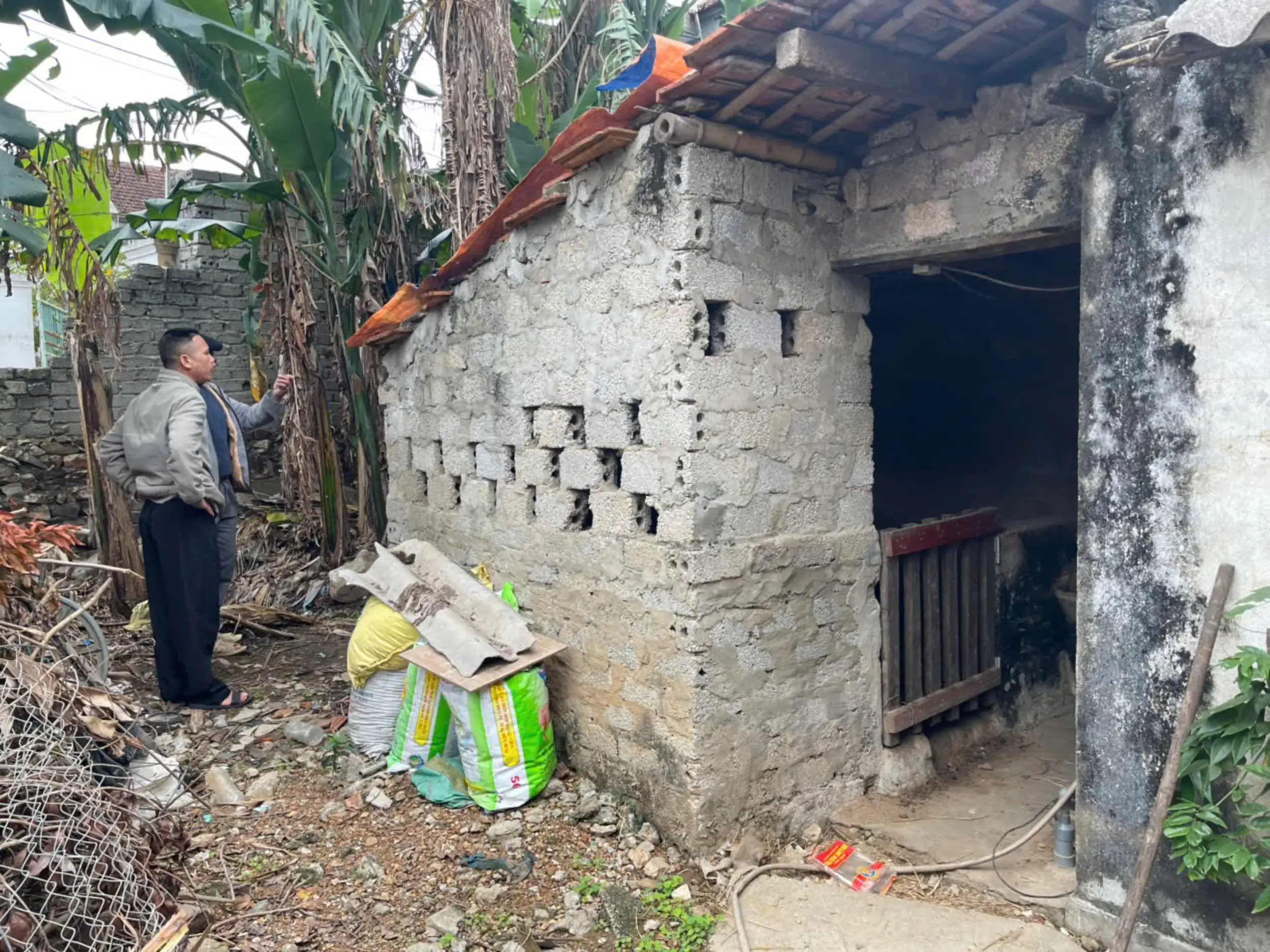 Quản lý chăn nuôi nhỏ lẻ, hạn chế ô nhiễm môi trường