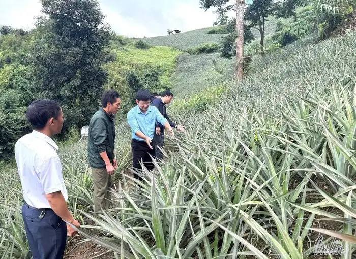 ‘Rào cản’ trong xây dựng nông thôn mới