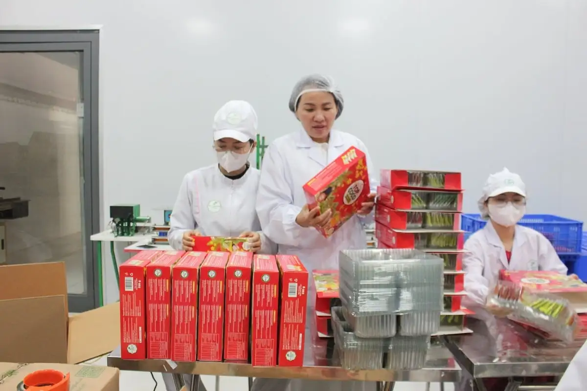 Sản phẩm OCOP Đà Nẵng ‘đón sóng’ cao điểm mua sắm Tết