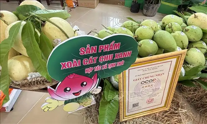 Sản vật OCOP Đồng Tháp ‘thay áo mới’, vươn tầm quốc tế