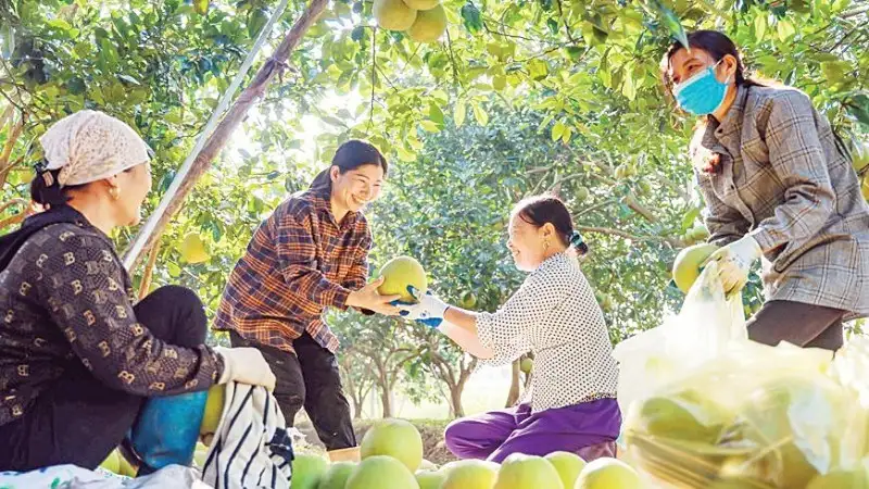 Sản xuất nông nghiệp theo chuỗi giá trị