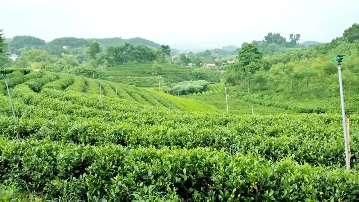 Sẽ áp dụng chuyển đổi số và công nghệ cao trong giảm nghèo