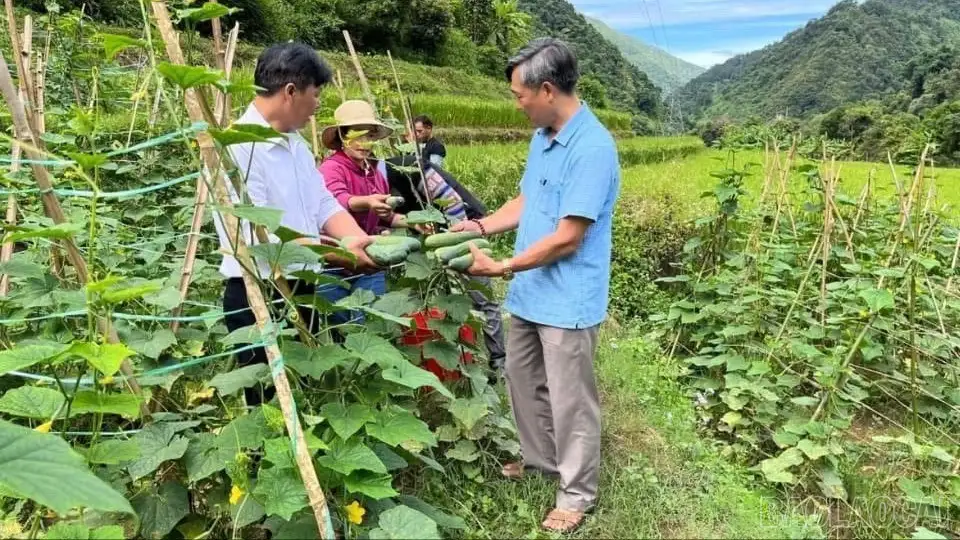 Sinh kế bền vững – trụ cột để nông thôn mới phát triển thực chất