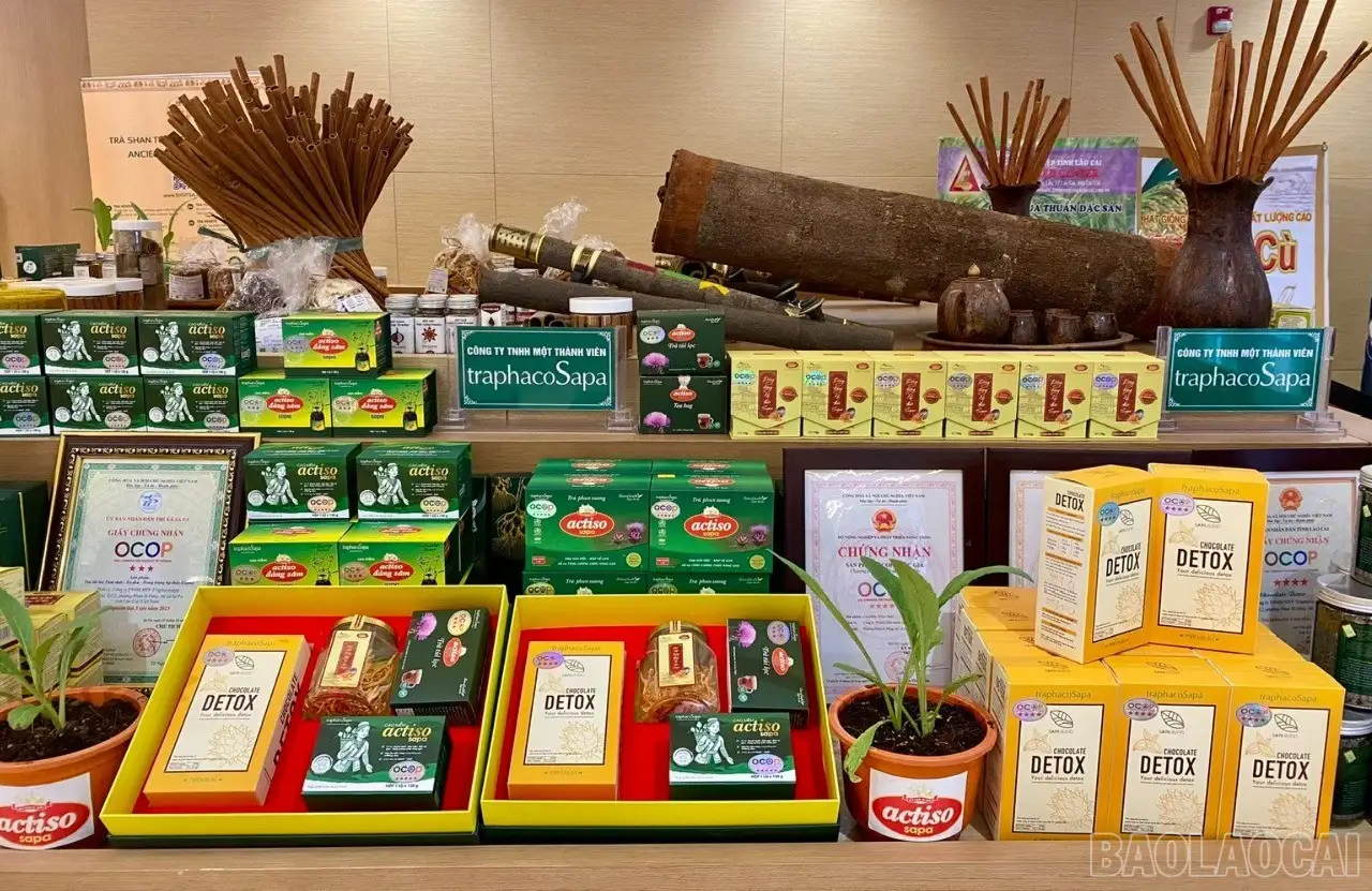 Sinh kế bền vững – trụ cột để nông thôn mới phát triển thực chất