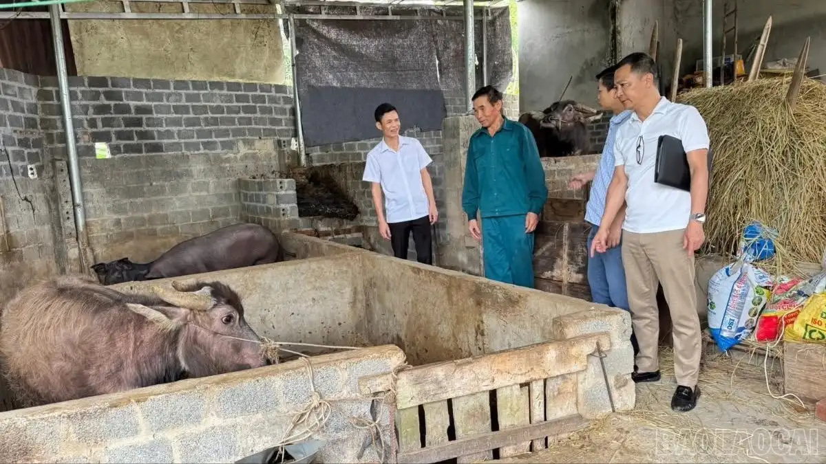 Sinh kế bền vững – trụ cột để nông thôn mới phát triển thực chất