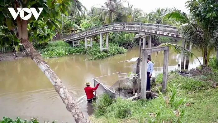 Số hóa nông nghiệp – con đường làm giàu từ ruộng vườn quê hương