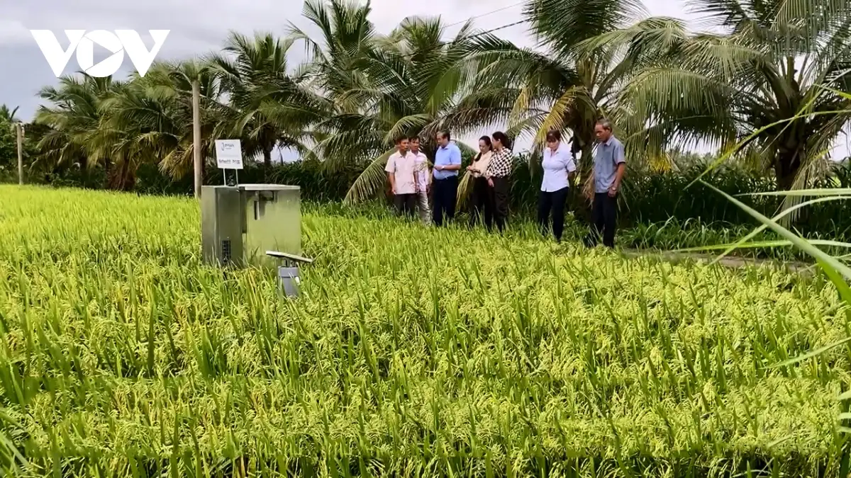 Số hóa nông nghiệp – con đường làm giàu từ ruộng vườn quê hương