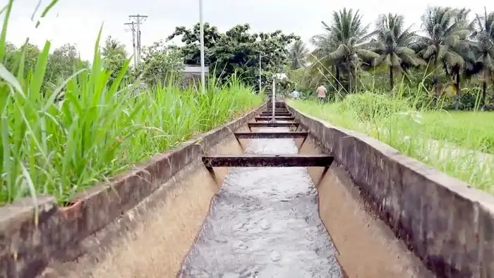 Số hóa nông nghiệp – con đường làm giàu từ ruộng vườn quê hương