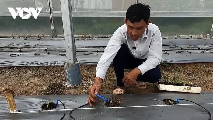 Số hóa nông nghiệp – con đường làm giàu từ ruộng vườn quê hương