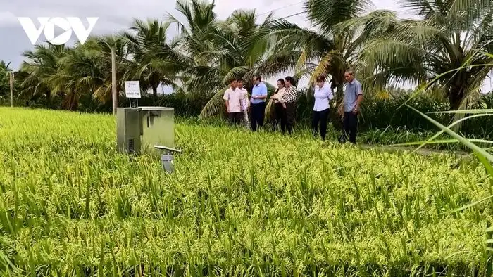 Số hóa nông nghiệp – con đường làm giàu từ ruộng vườn quê hương