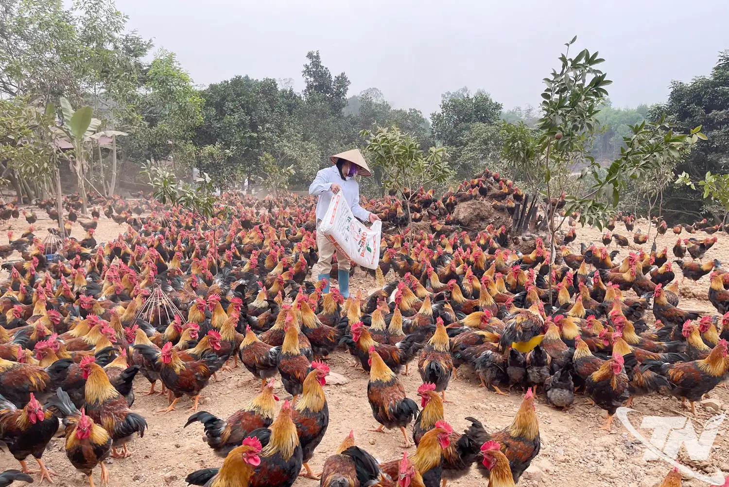 Tân Khánh tạo nền tảng vững chắc xây dựng nông thôn mới nâng cao