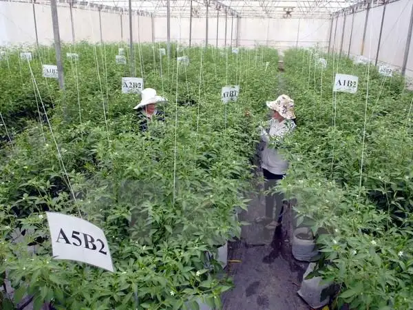 Tạo động lực cho nông nghiệp và môi trường xanh, hiện đại