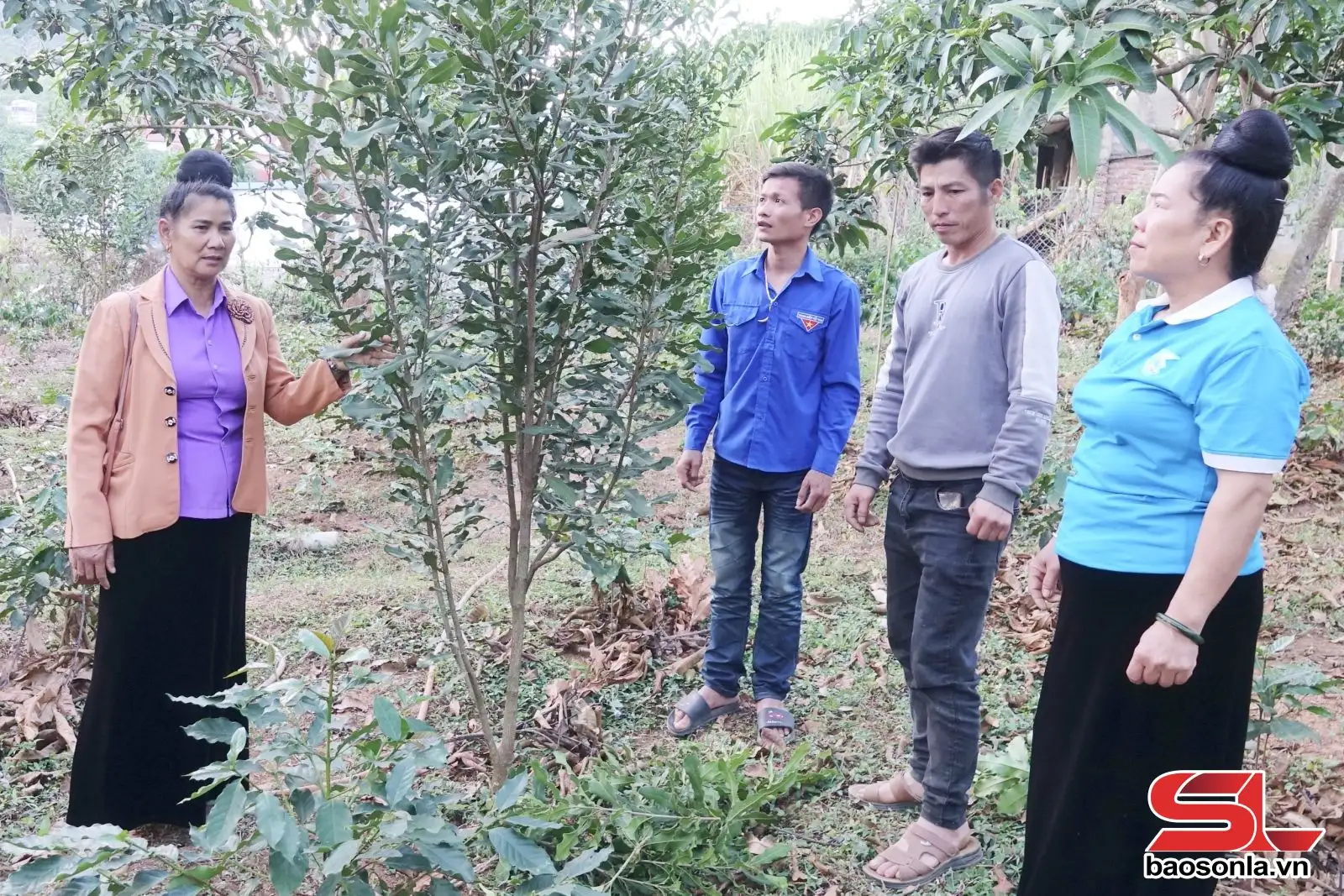 Tạo sinh kế bền vững, thúc đẩy xây dựng nông thôn mới