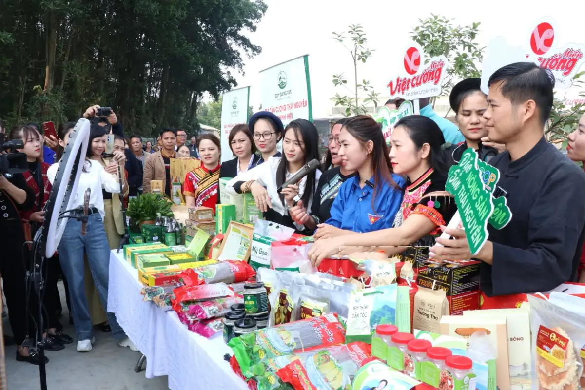 Thái Nguyên: Chuyển đổi số mở lối cho giảm nghèo bền vững