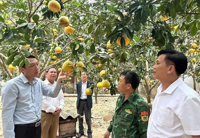 Thanh Hóa: Nông Cống tạo sinh kế bền vững từ nông nghiệp hiện đại