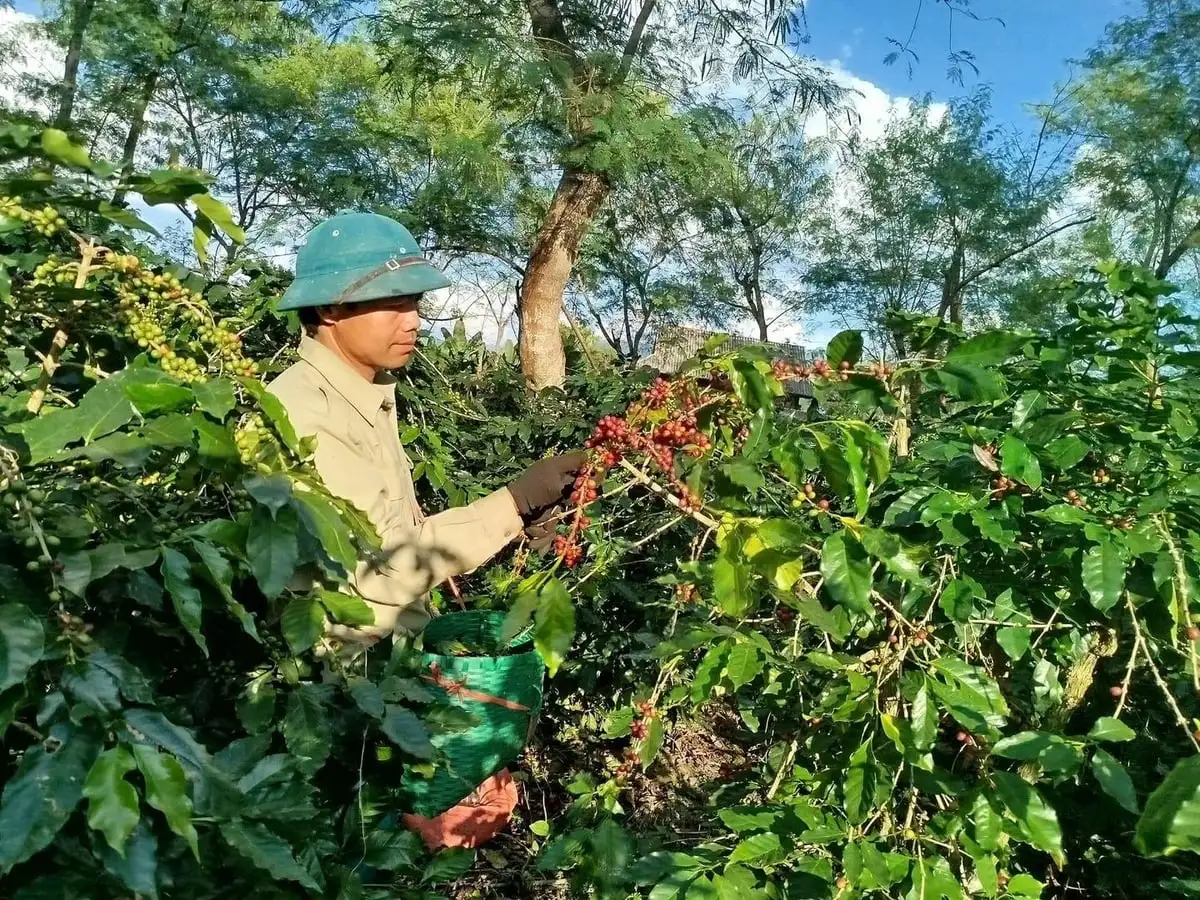 Thống nhất chủ trương tổ chức Hội thảo phát triển nông nghiệp tỉnh Điện Biên