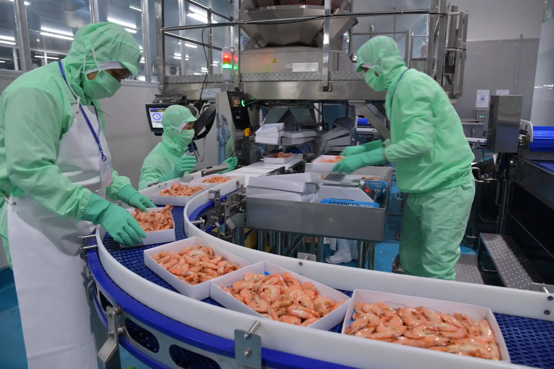 Thủy sản 2021-2025 tăng trưởng ổn định, vững đà cho giai đoạn mới