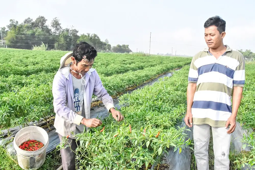 TINH GỌN BỘ MÁY, SỬ DỤNG HIỆU QUẢ NGUỒN LỰC PHÁT TRIỂN BỀN VỮNG Kỳ 3: Từ đổi mới quản lý đến thay đổi diện mạo nông thôn