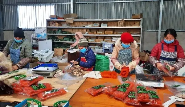 Toàn tỉnh có 174 sản phẩm OCOP 3 sao, 4 sao