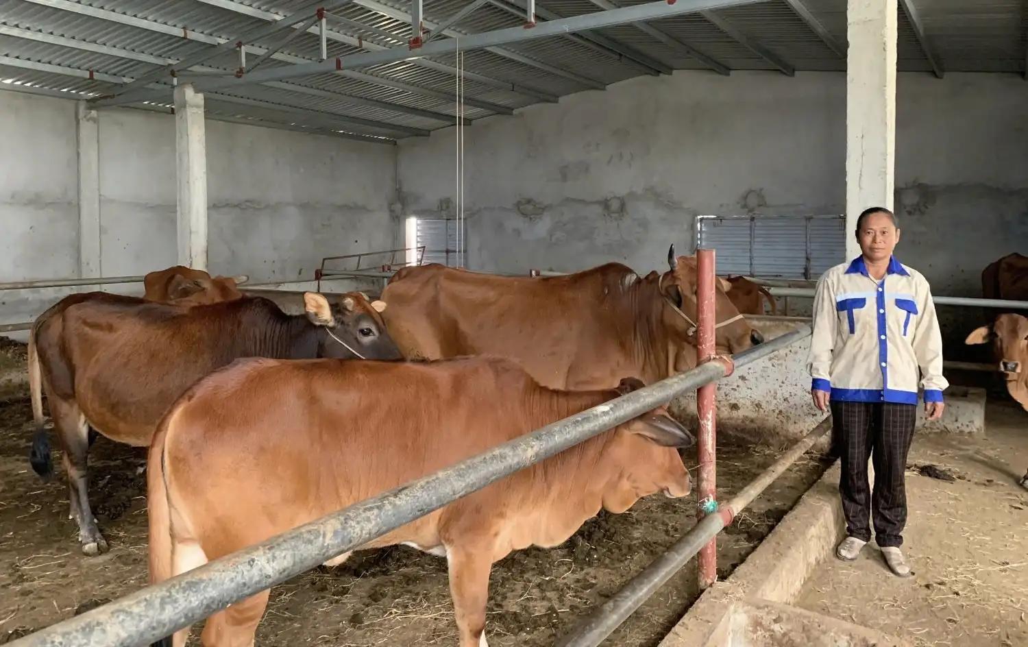 Trao con giống – Tạo sinh kế giảm nghèo bền vững cho đồng bào dân tộc thiểu số miền núi Nghệ An