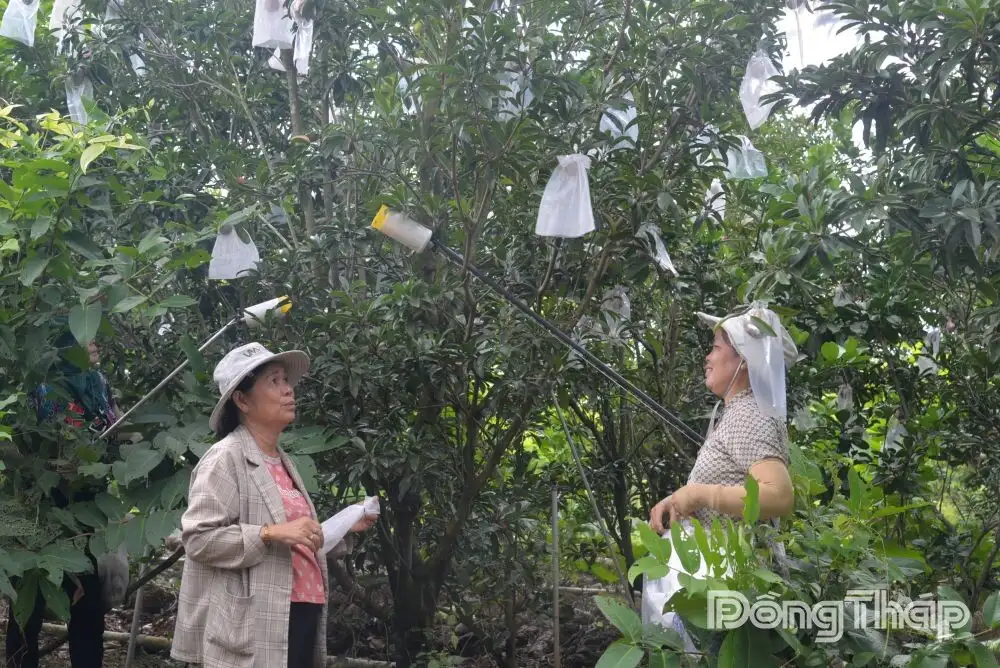 Tự tin khởi nghiệp, làm chủ cuộc sống