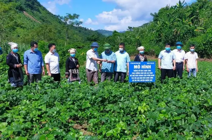 Từ ứng dụng công nghệ cao đến bảo vệ giá trị trí tuệ của sản phẩm HTX