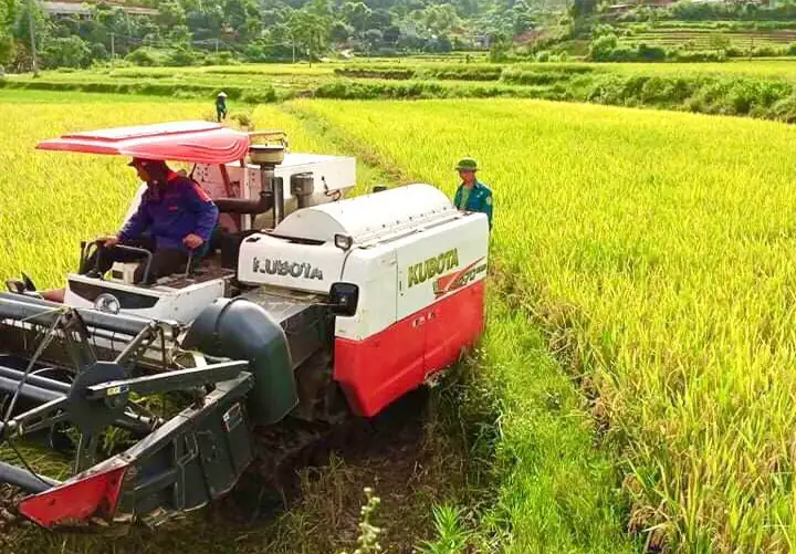 Từ ứng dụng công nghệ cao đến bảo vệ giá trị trí tuệ của sản phẩm HTX