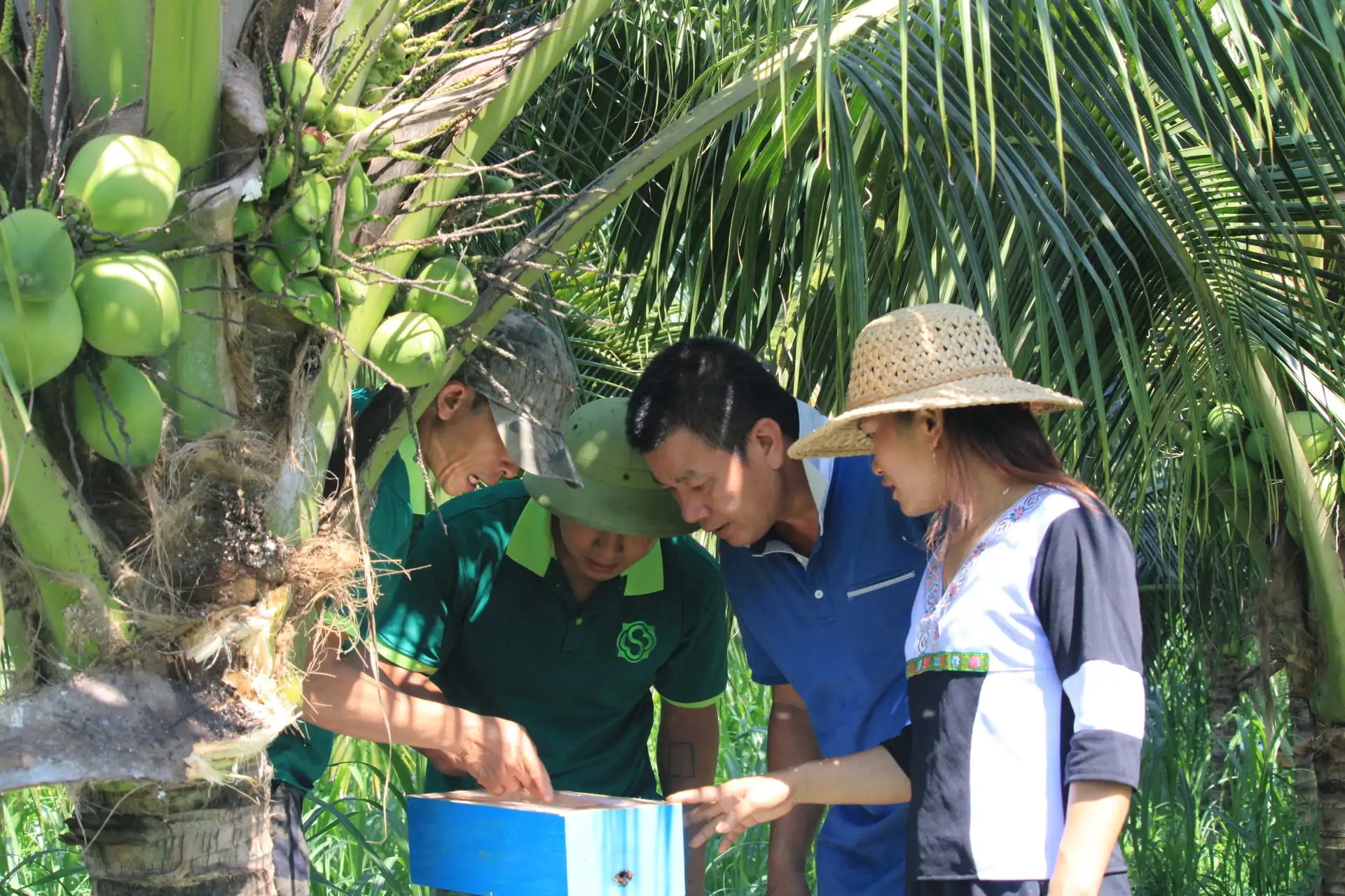 Tỷ phú nông dân Khánh Hòa nắm bí quyết cải tạo đất bạc màu làm nông nghiệp khép kín gắn với du lịch đạt giải cao