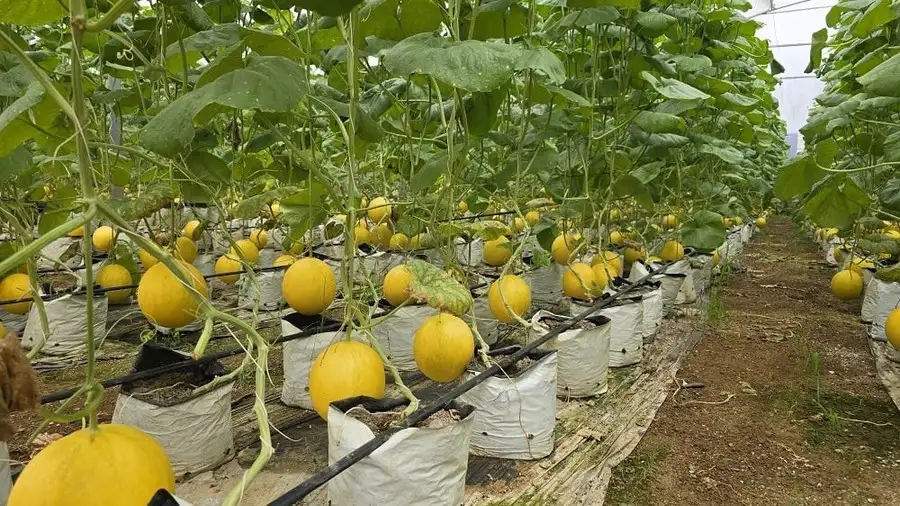 Ứng dụng khoa học và công nghệ tăng hiệu quả công tác nghèo bền vững ở Thanh Hóa