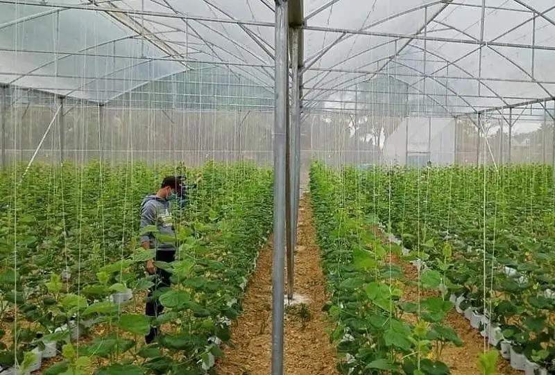 Ứng dụng khoa học và công nghệ tăng hiệu quả công tác nghèo bền vững ở Thanh Hóa