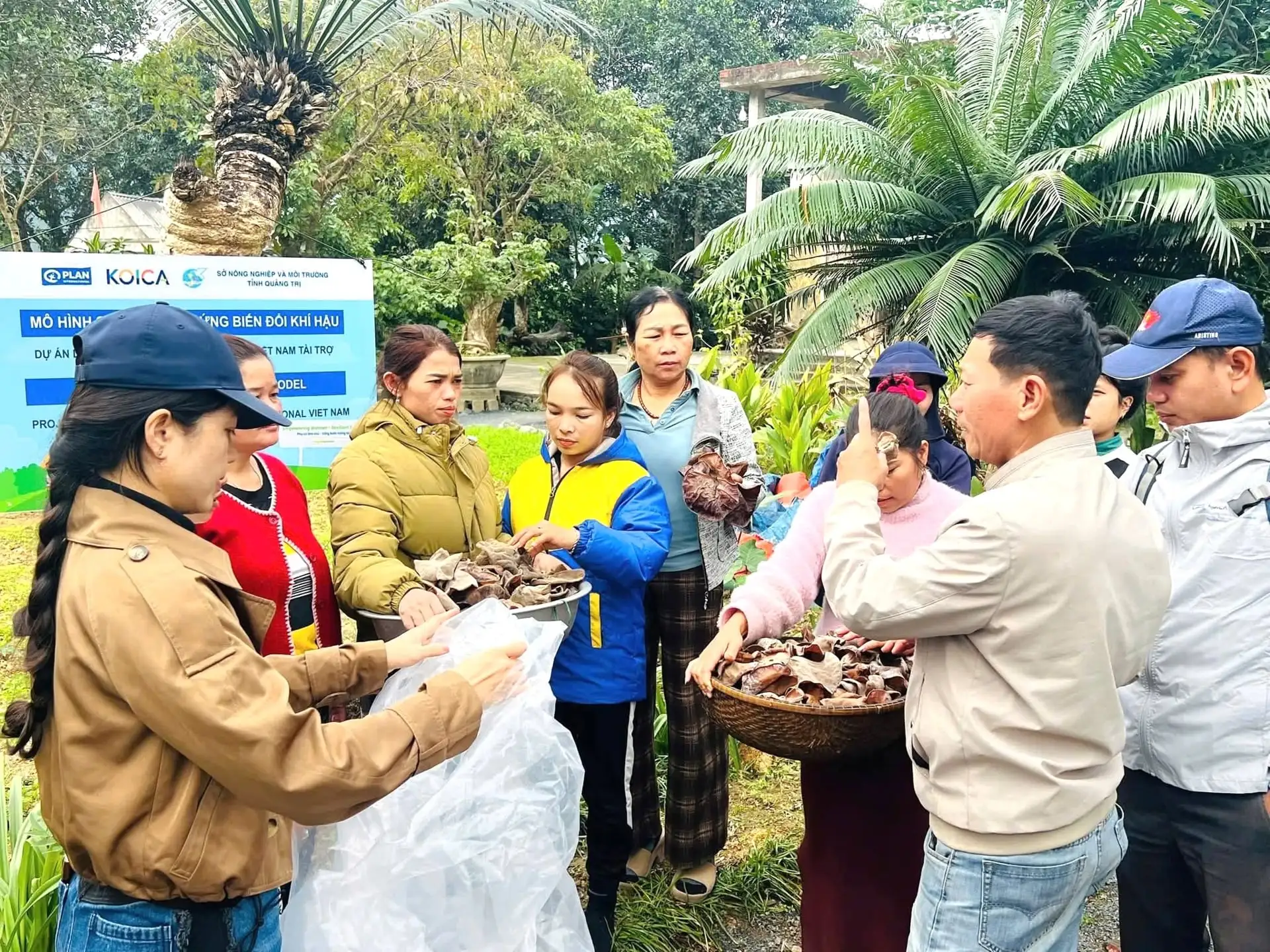 Vai trò HTX kiểu mới trong xây dựng nông thôn mới ở Quảng Trị