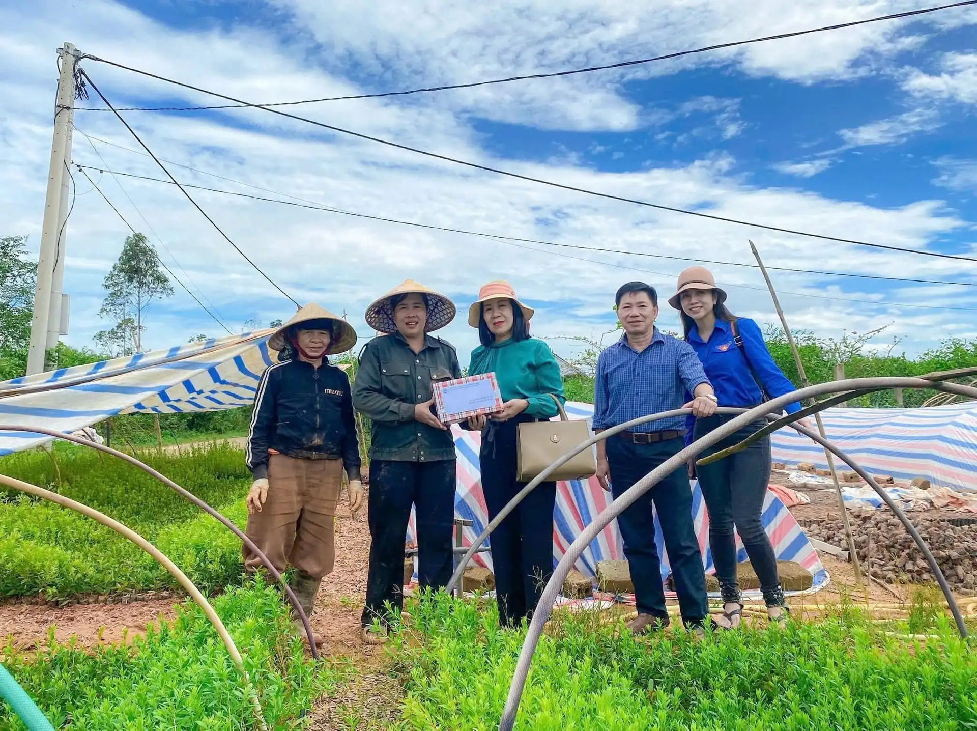 Vai trò HTX kiểu mới trong xây dựng nông thôn mới ở Quảng Trị