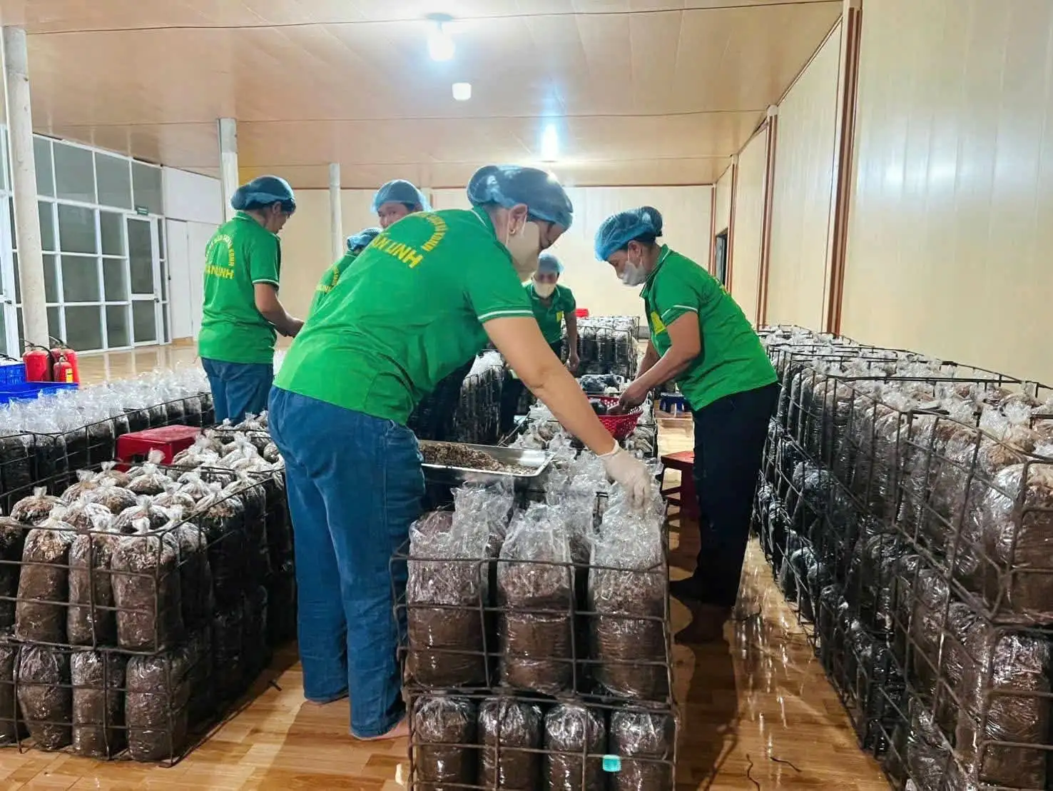 Vai trò HTX kiểu mới trong xây dựng nông thôn mới ở Quảng Trị