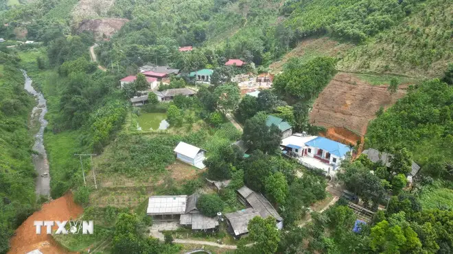 “Vàng xanh” mở lối làm giàu trên vùng đất dốc ở tỉnh Phú Thọ