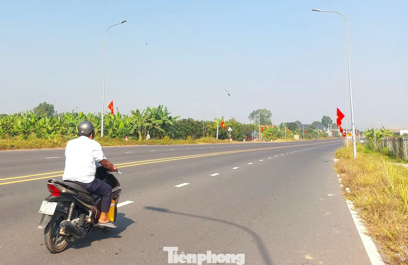 Về Làng thông minh xem nông dân chăm bưởi sạch phục vụ Tết