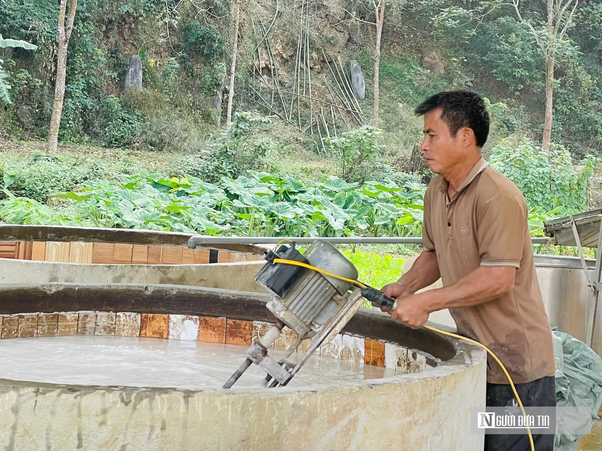 Vụ Tết bội thu, nghề miến dong truyền thống mang về tiền tỷ mỗi năm