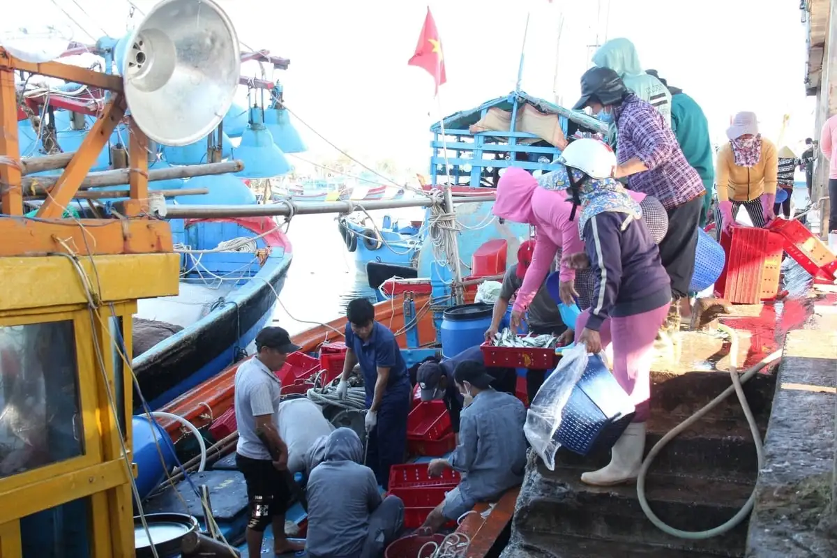 Vượt khó, ngành nông nghiệp Quảng Ngãi tăng trưởng 5,2%