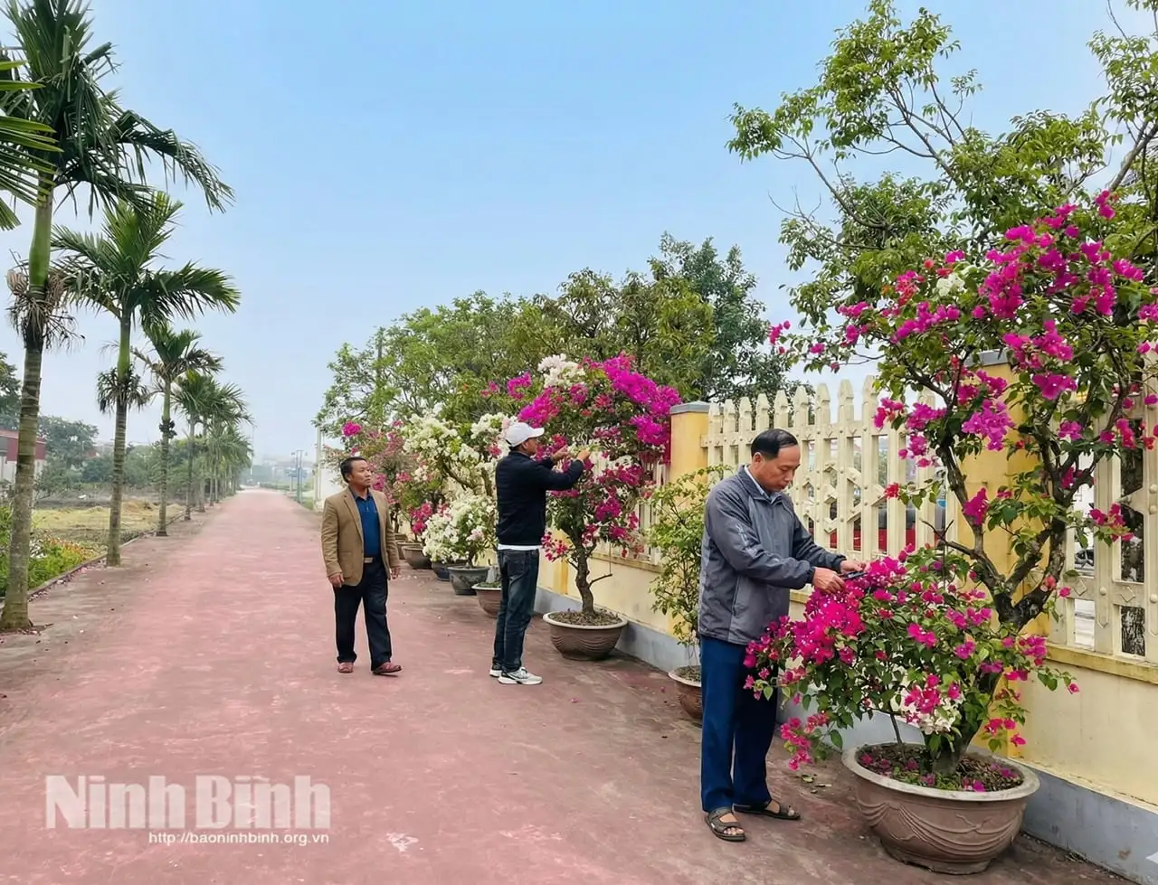 Xã Giao Ninh, tỉnh Ninh Bình (địa phận Nam Định), đường hoa nông thôn mới đẹp mê ly, biển Quất Lâm sẽ là đô thị du lịch