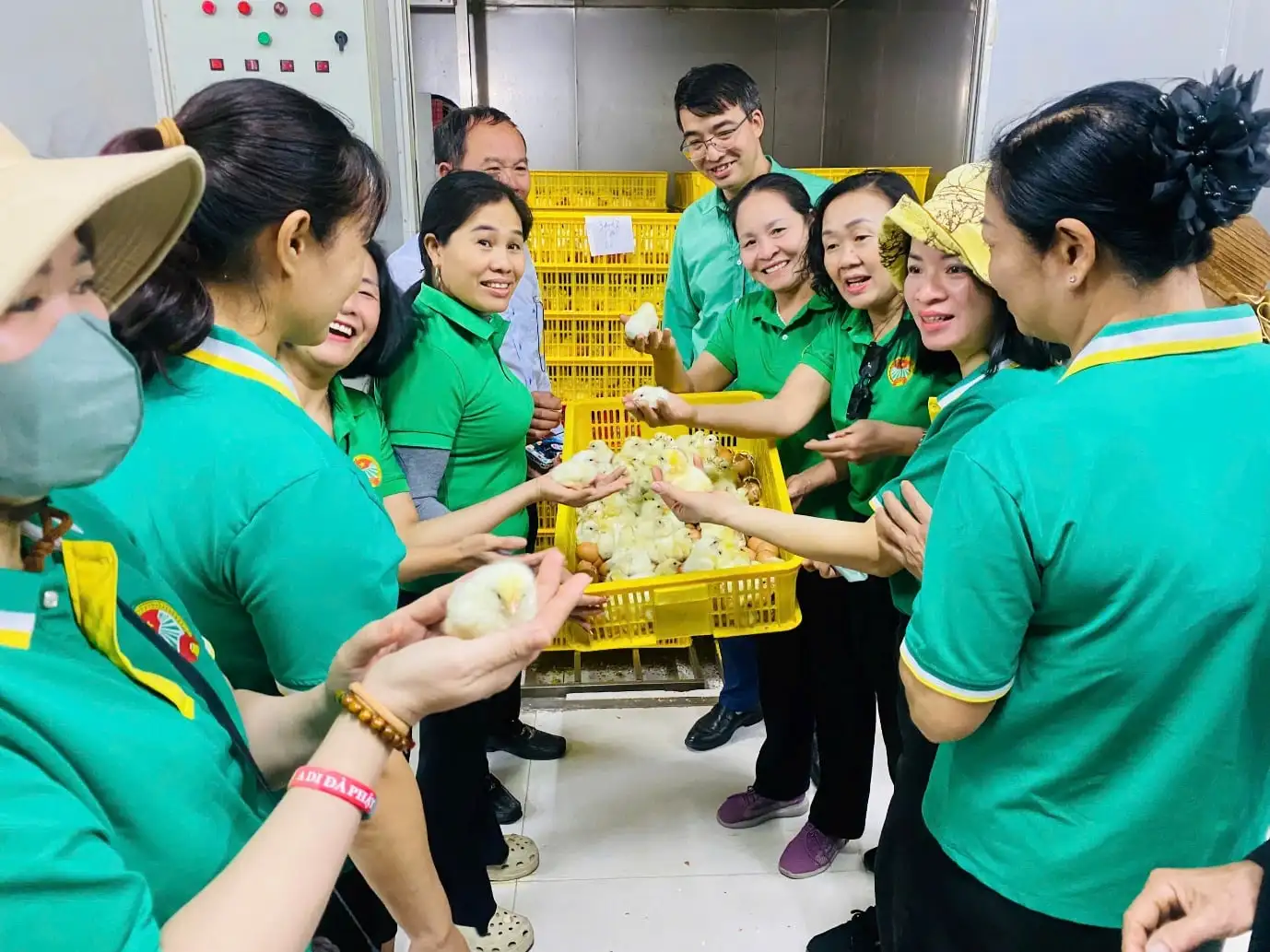 Xã Thư Lâm, TP Hà Nội (địa phận huyện Đông Anh), nông dân làm nông nghiệp công nghệ cao, sản phẩm sao OCOP