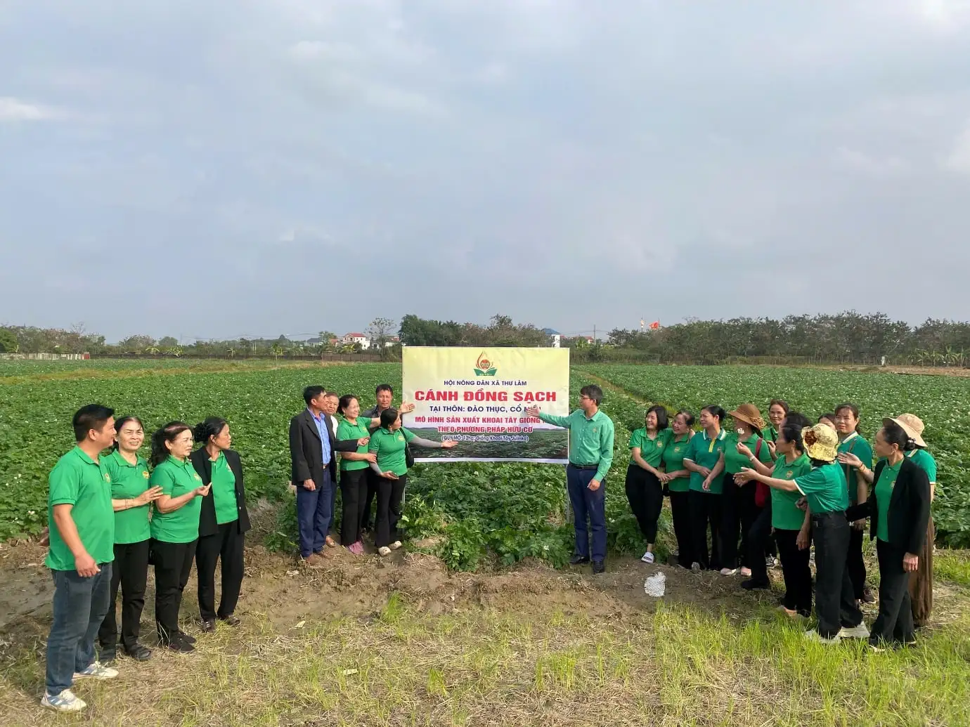 Xã Thư Lâm, TP Hà Nội (địa phận huyện Đông Anh), nông dân làm nông nghiệp công nghệ cao, sản phẩm sao OCOP