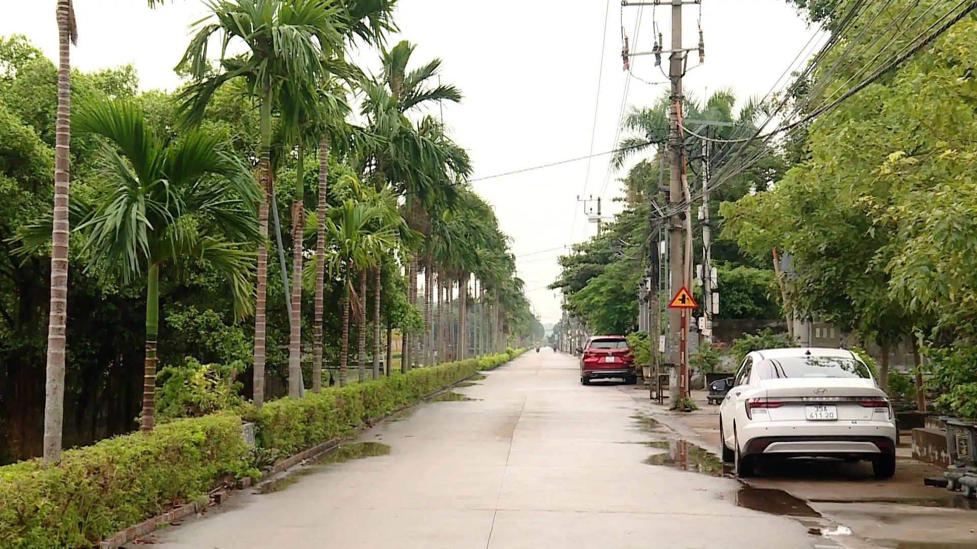 Xã Yên Mô, tỉnh Ninh Bình, nông thôn mới kiểu mẫu, làng quê đáng sống, tuyến đường trồng cau cảnh quan đẹp như phim