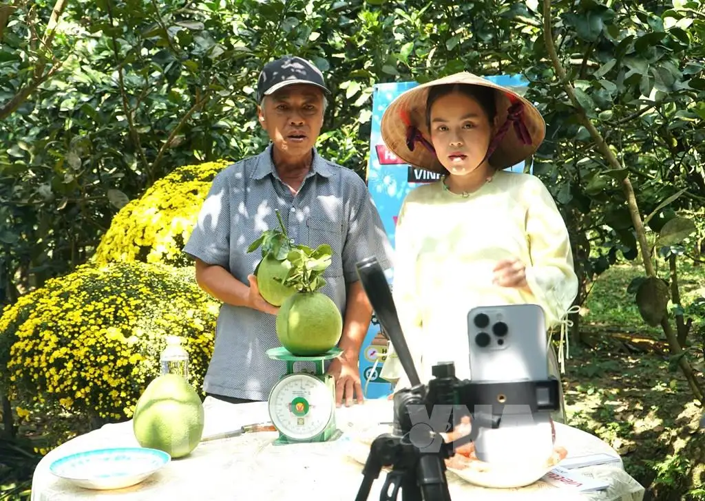 Bán nông sản online, Vĩnh Long mở thêm cửa thị trường