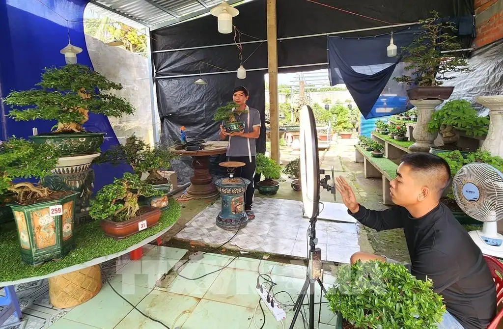 Bán nông sản online, Vĩnh Long mở thêm cửa thị trường