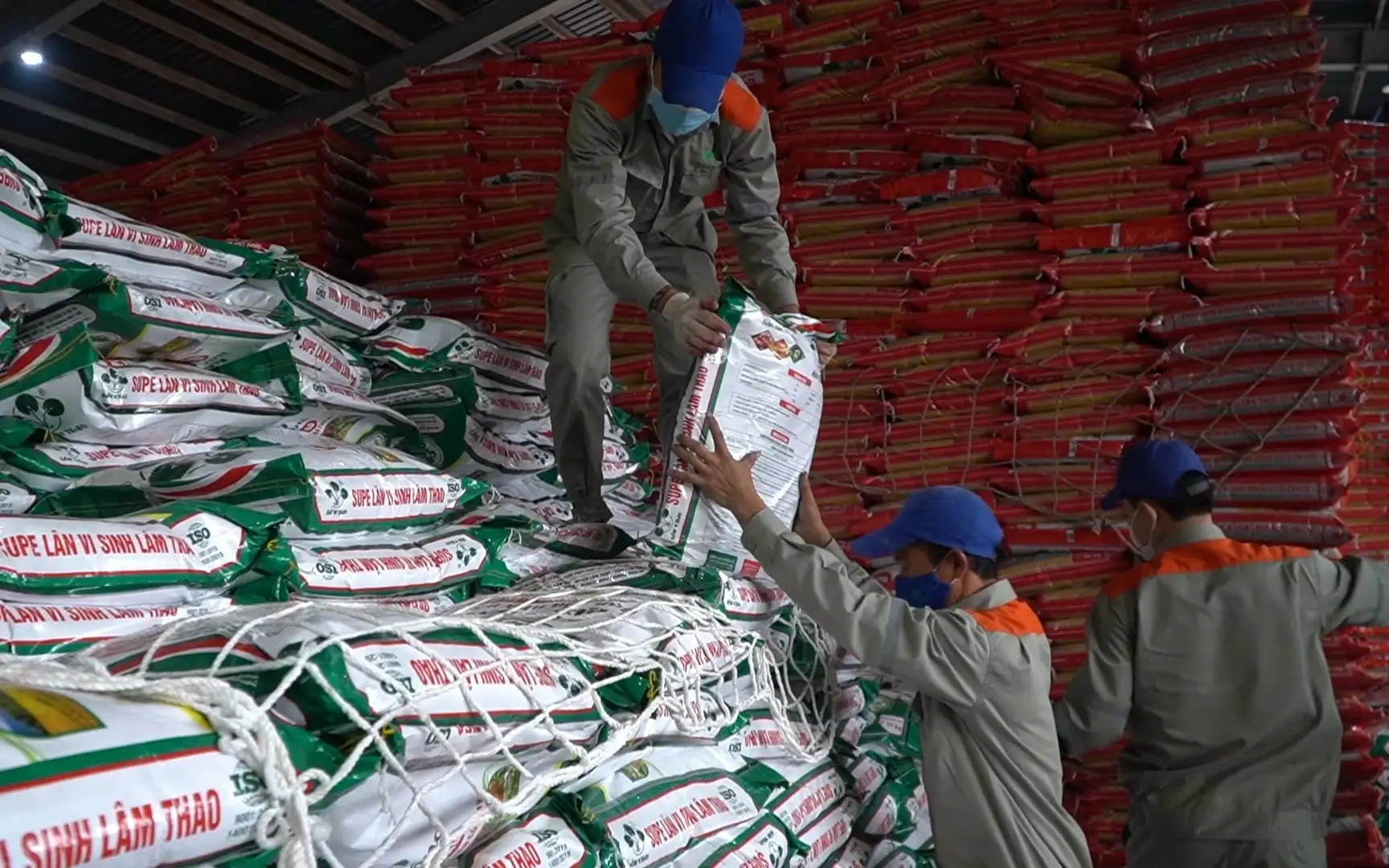 Bộ Nông nghiệp và Môi trường: Gỡ “nút thắt” pháp lý trong lĩnh vực trồng trọt và bảo vệ thực vật