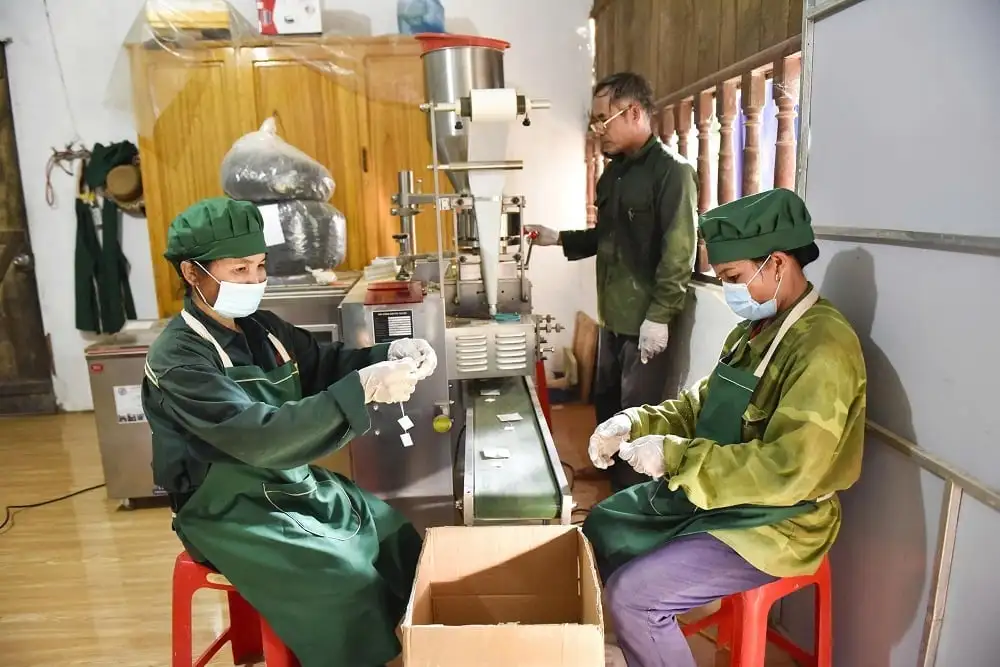 Chè Bình Sơn khẳng định thương hiệu OCOP 4 sao